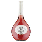 1680271287224-248_5601012011500_main.jpeg (11002925)