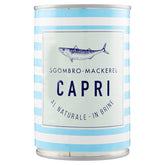 1685529717245_8001820087365_main.jpeg (11000096)